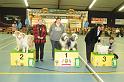 kerstshow 2008 022